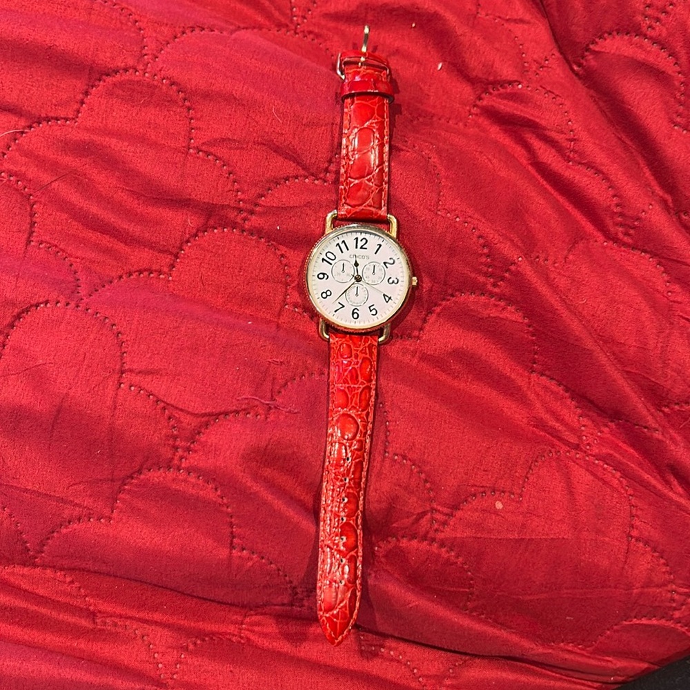 Chicos watch